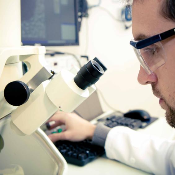 Master Year 1 in BioMedical Engineering (BME)